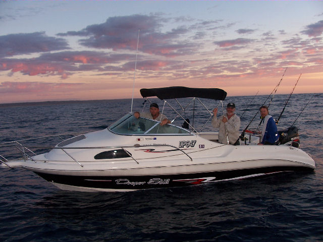 shaddy looking bunch shaddy looking bunch